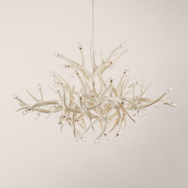 Superordinate Antler | Chandelier - 24 Antlers | Jason Miller