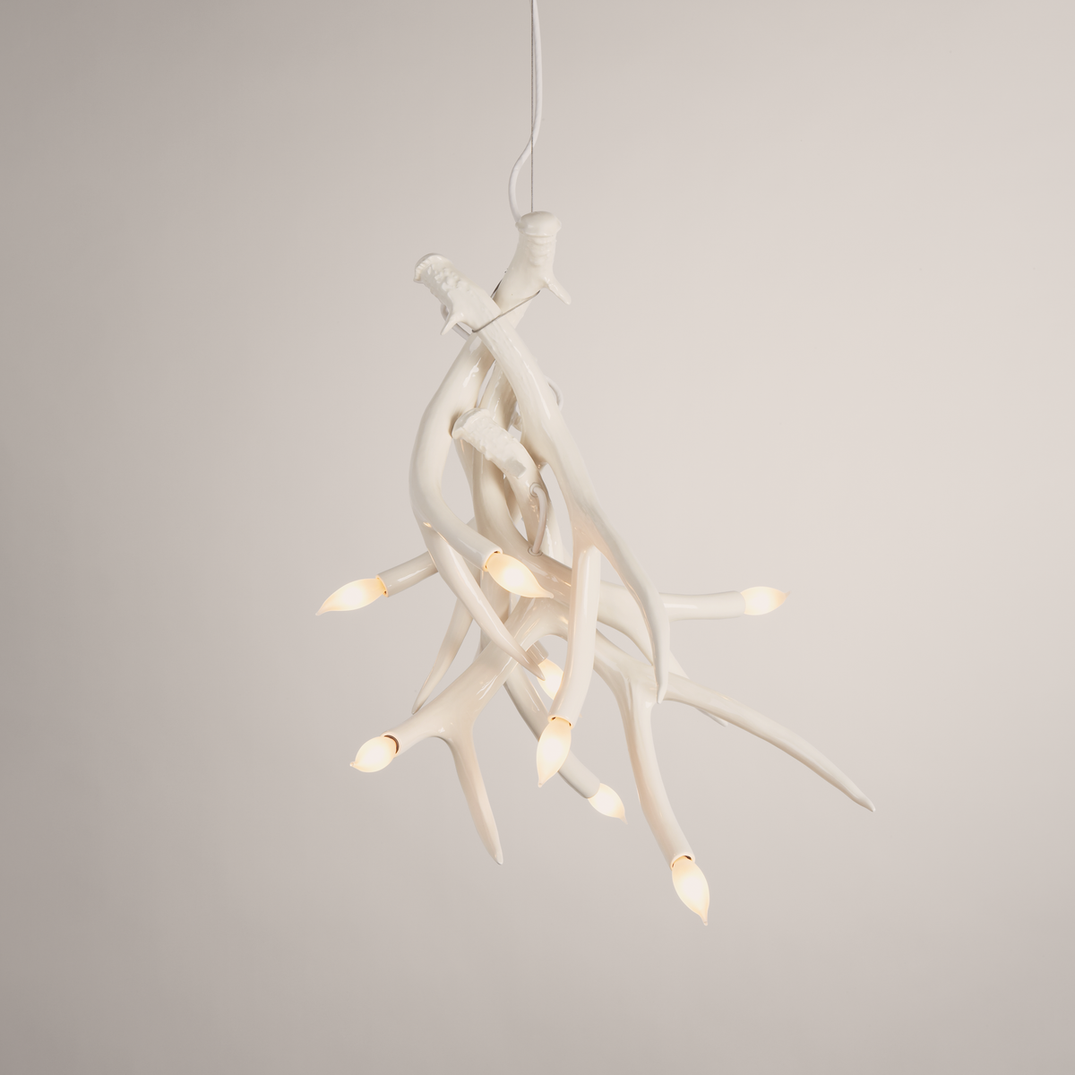 Superordinate Antler | Chandelier - 4 Antlers | Jason Miller 