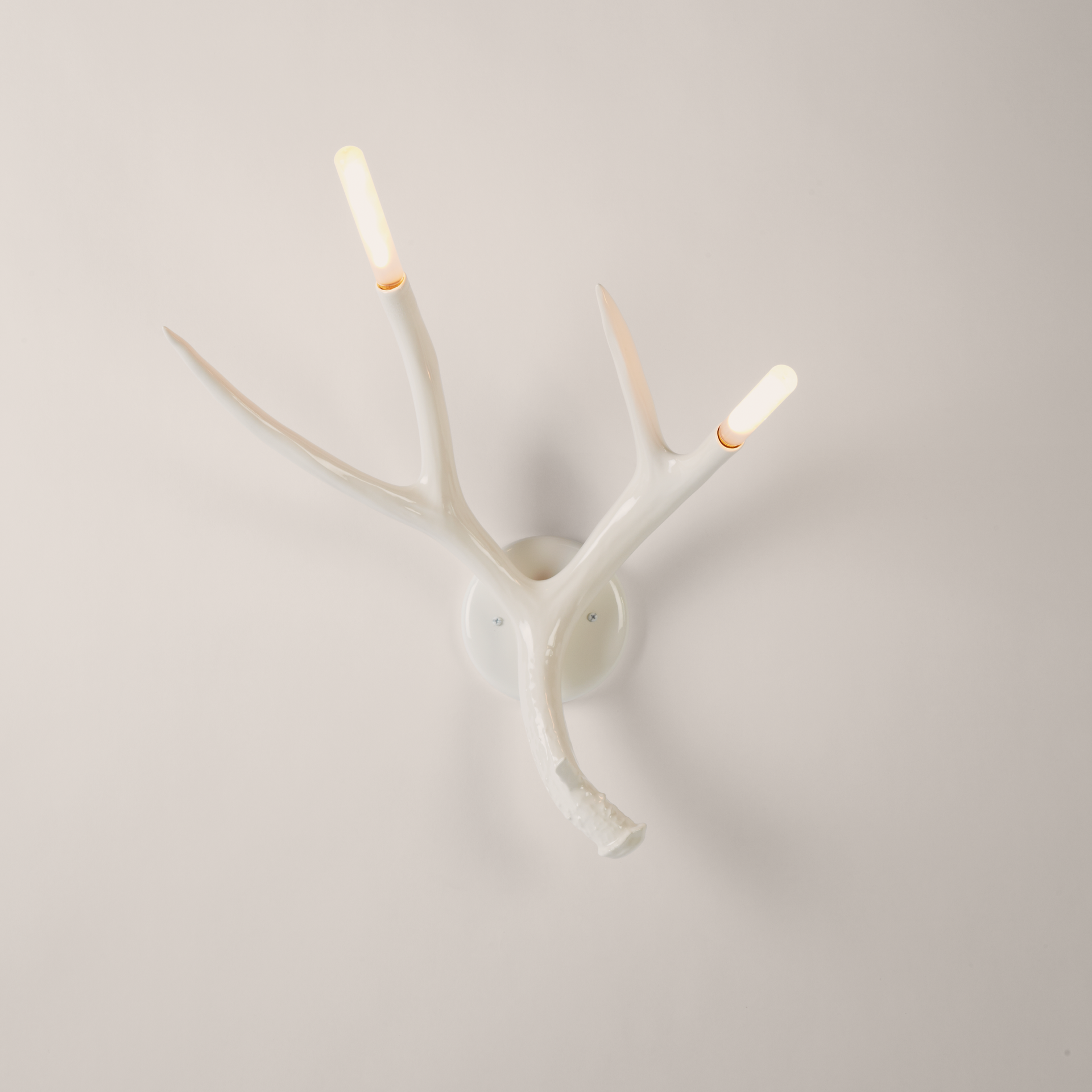 【そいまーる様】ANTLER CLI FLYING V 2016年モデル Superordinate Antler | Sconce | Jason Miller – Roll & Hill