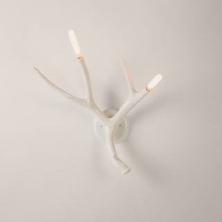 Superordinate Antlers
