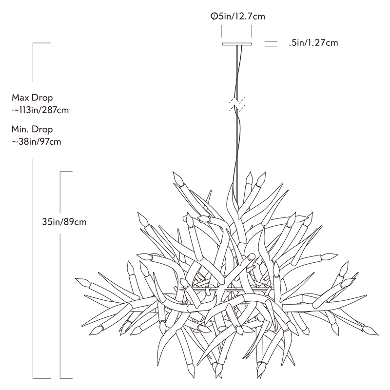 Superordinate Antler | Chandelier - 24 Antlers | Jason Miller