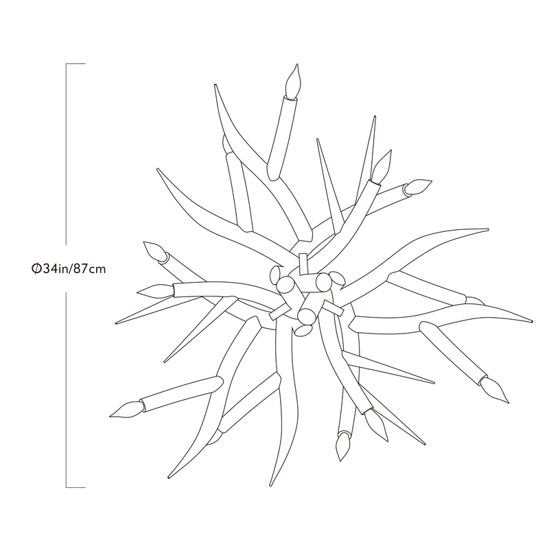 Superordinate Antler | Chandelier - 6 Antlers | Jason Miller Superordinate Antler | Chandelier - 6 Antlers | Jason Miller