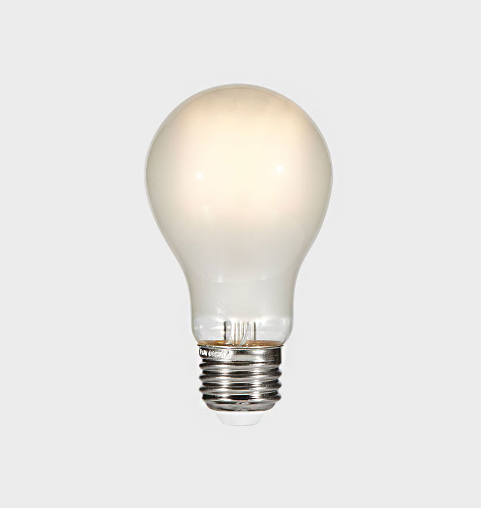 A19 Frosted Bulb - Illuminated