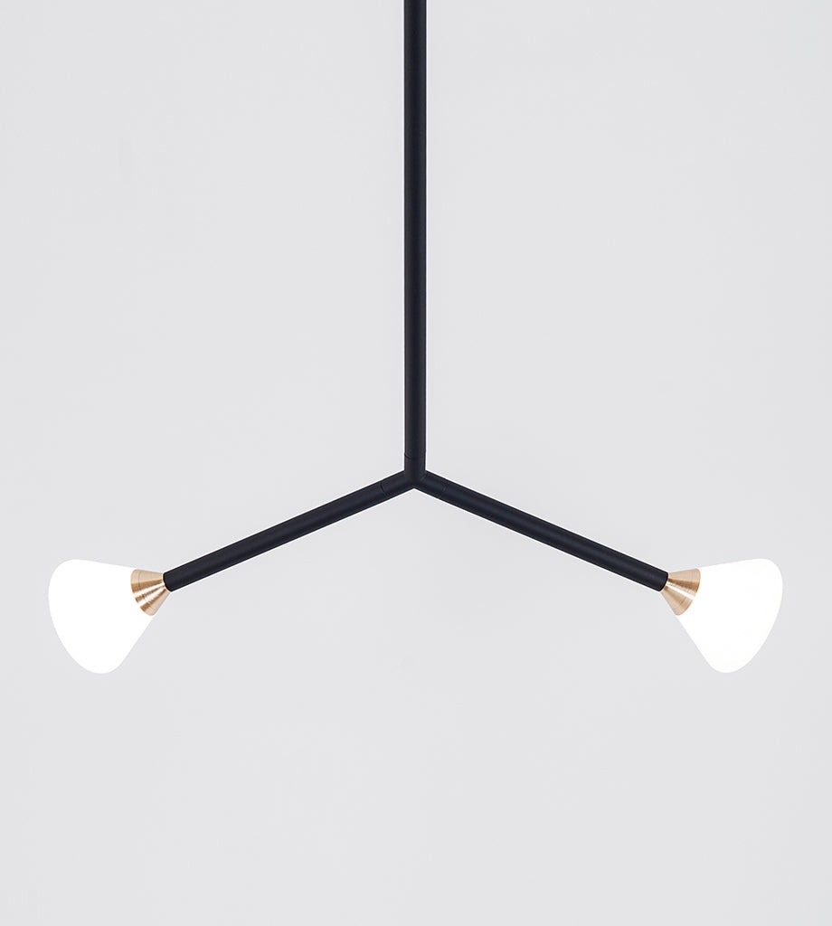 Chandelier - 9 Lights (Matte black/Brushed brass)