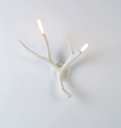 Superordinate Antler | Sconce | Jason Miller – Roll & Hill