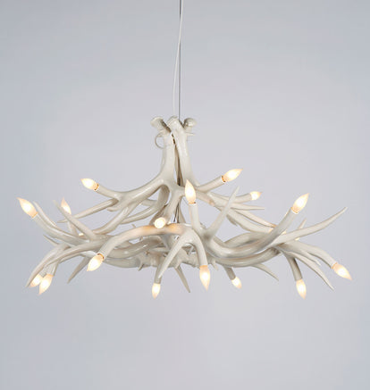 Superordinate Antler | Chandelier - 12 Antlers | Jason Miller