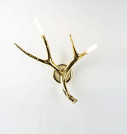 Superordinate Antler | Sconce | Jason Miller – Roll & Hill