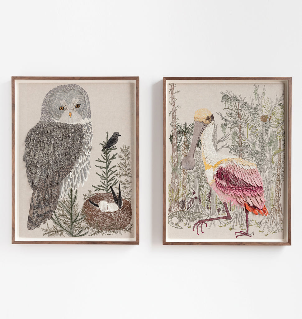 Great Grey Owl and Roseate Spoonbill